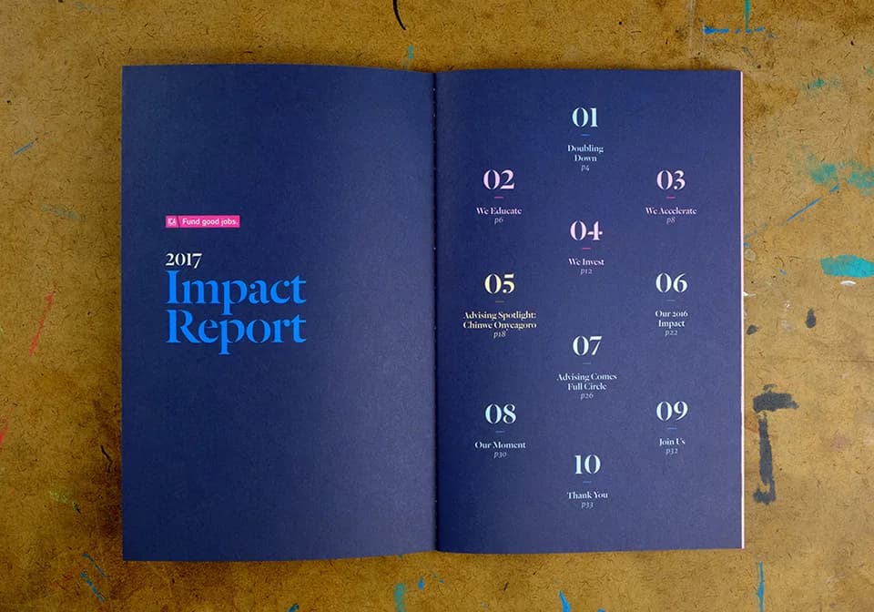 2017 Impact Report table of contents and section structure.